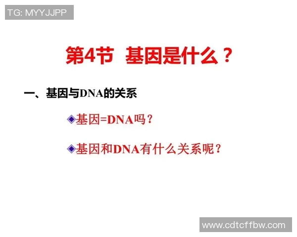 足球明星儿子身高揭秘与父亲的遗传基因关系分析