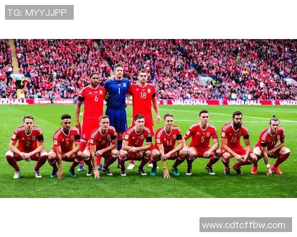 南京排球队实力引发热议球迷对球队表现的看法与争论